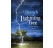 A Branch from the Lightning Tree